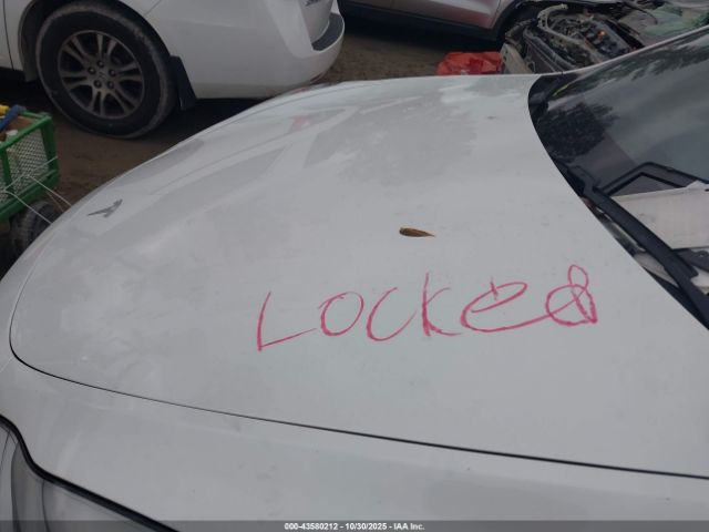 Tesla Model Y Performance Dual Motor All-wheel Drive Image 15